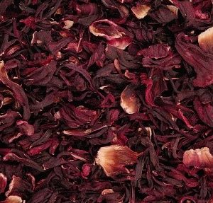 HIBISCUS
